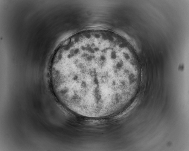 X0000103431405200810241047