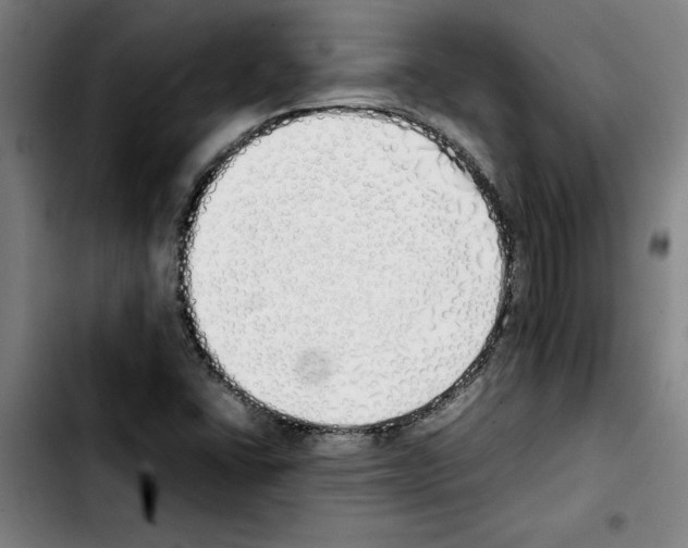 X0000103431406200810241047