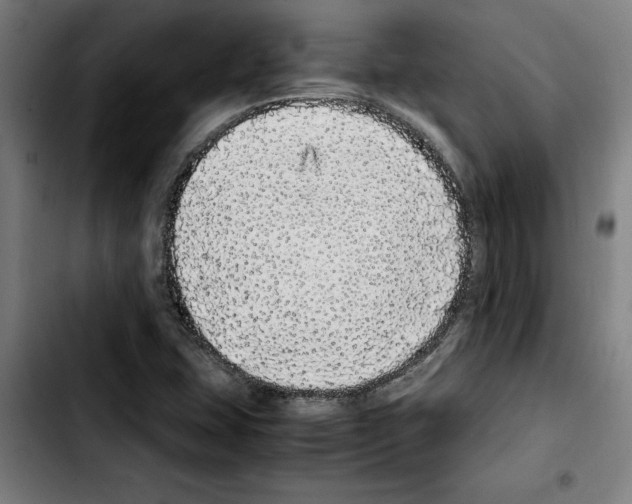 X0000103431407200810241047