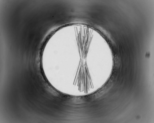 X0000103431408200810241047