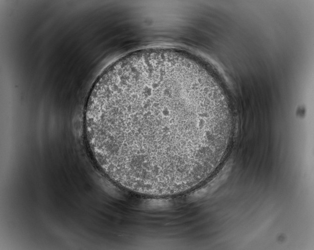 X0000103431409200810241048