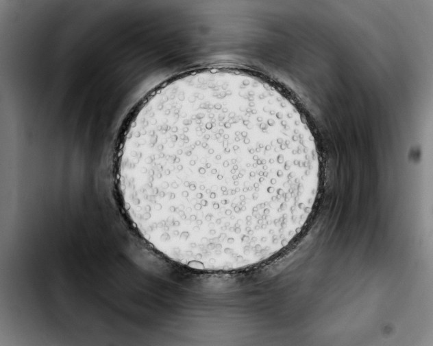 X0000103431410200810241048