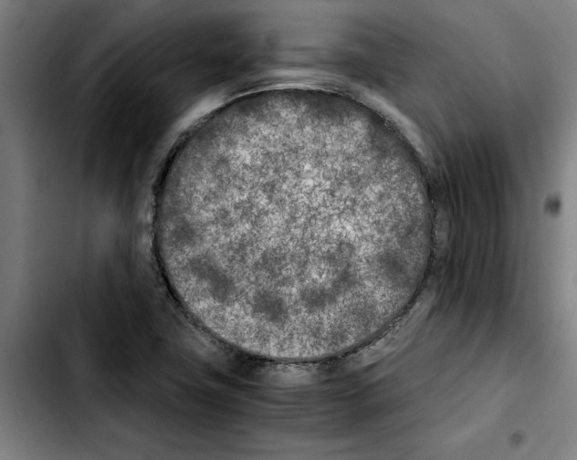 X0000103431411200810241048