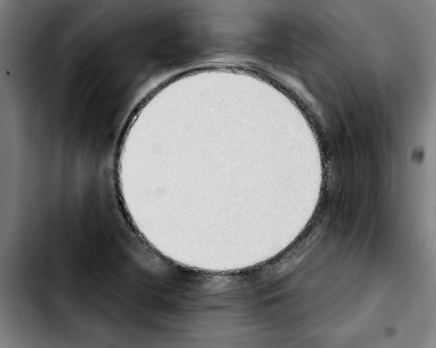 X0000103431412200810241048