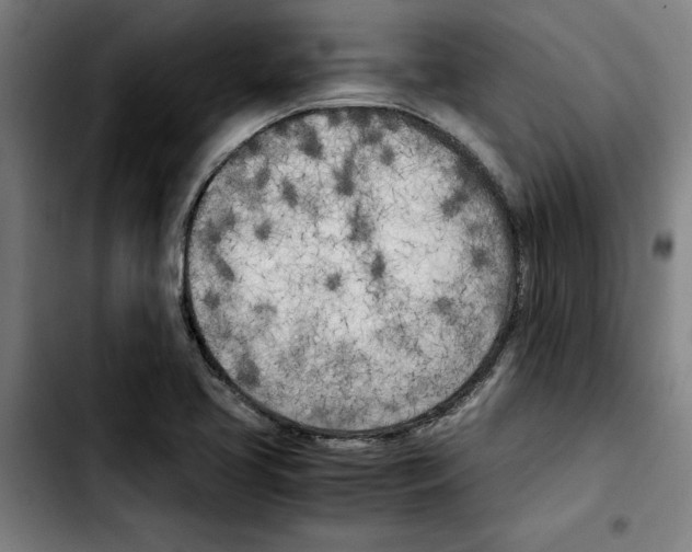 X0000103431413200810241048