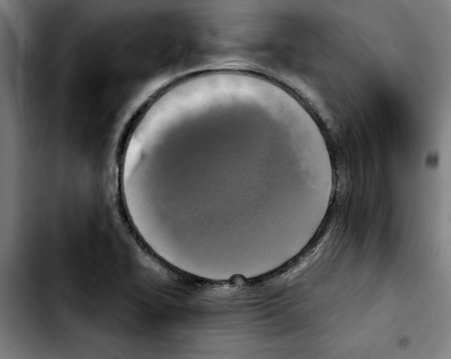 X0000103431414200810241048