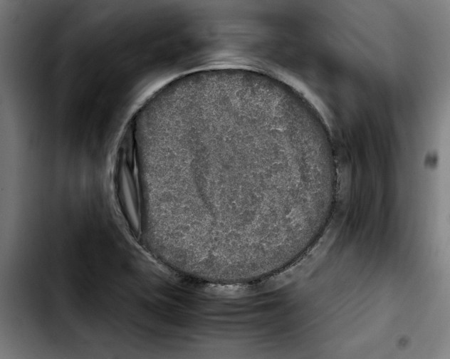 X0000103431415200810241048