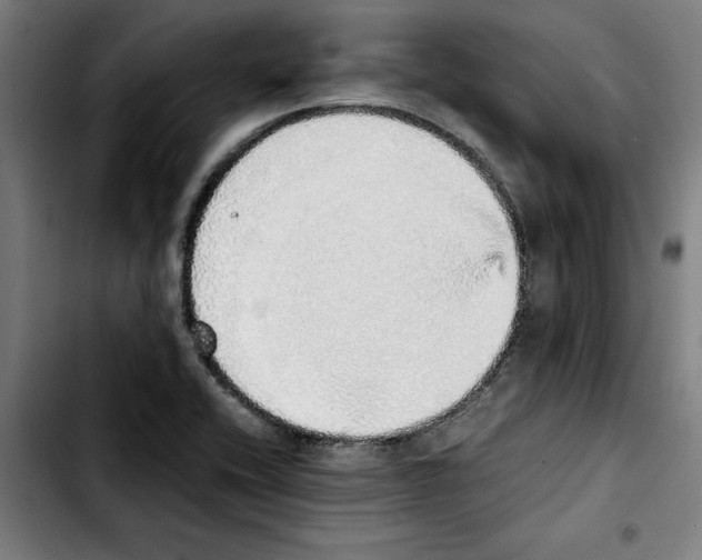 X0000103431416200810241048