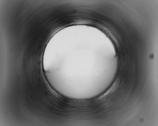 X0000103431417200810241048