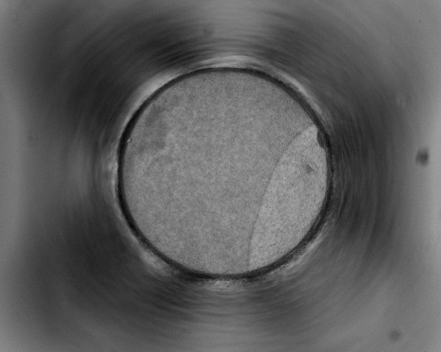 X0000103431418200810241048