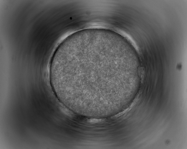 X0000103431419200810241048