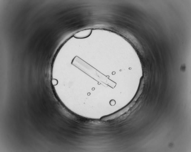 X0000103431420200810241048