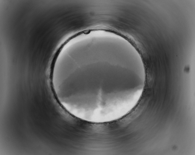 X0000103431422200810241048