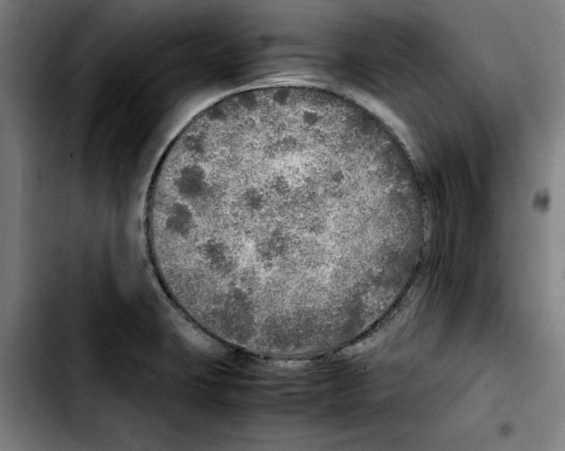 X0000103431423200810241048