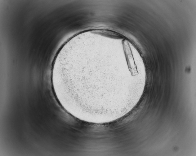 X0000103431424200810241048
