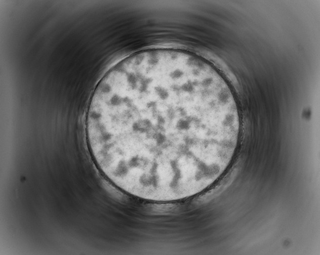 X0000103431425200810241048