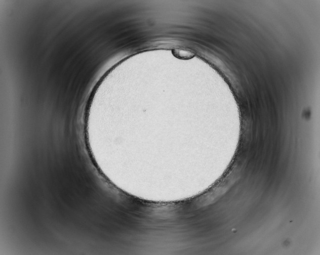 X0000103431426200810241048