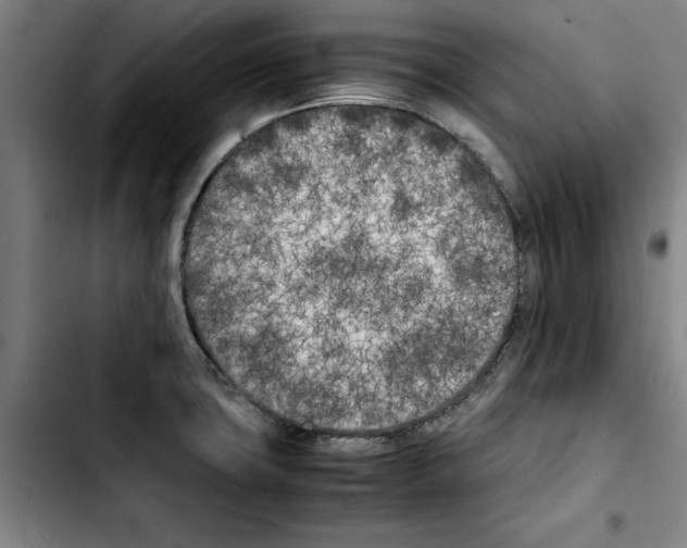 X0000103431427200810241048