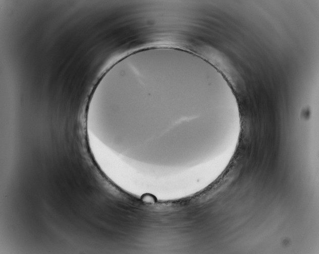 X0000103431428200810241048