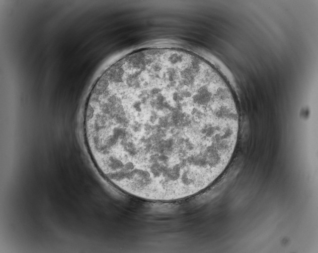X0000103431429200810241048