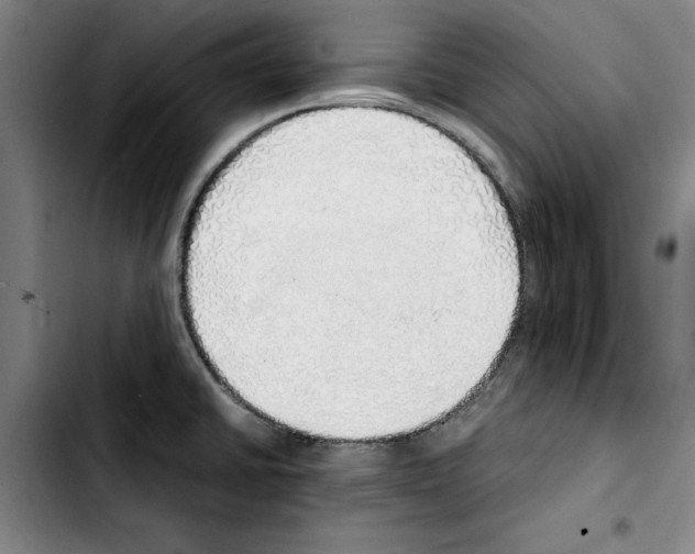 X0000103431430200810241048