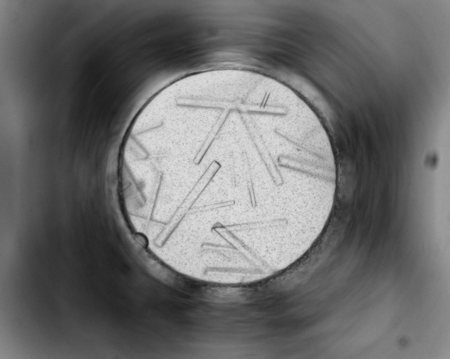 X0000103431431200810241048