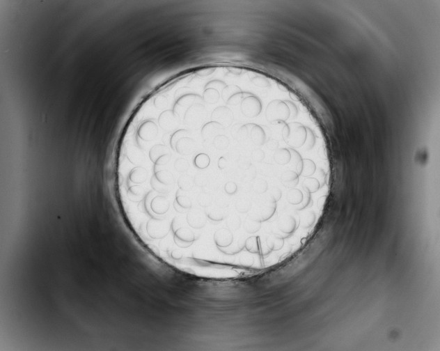 X0000103431432200810241048