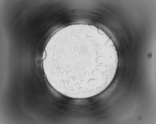 X0000103431433200810241048