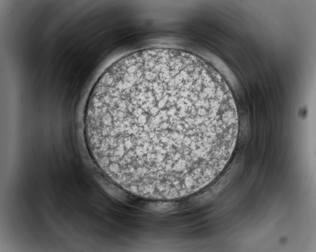 X0000103431435200810241048