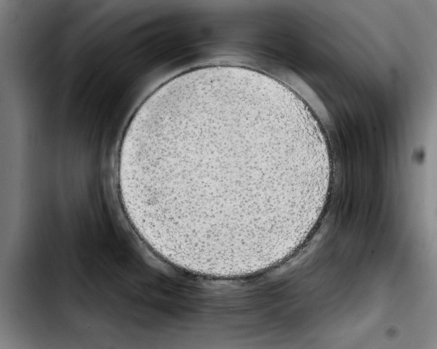 X0000103431436200810241048