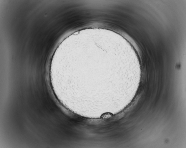 X0000103431437200810241048