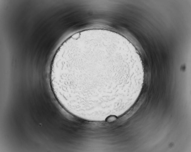 X0000103431438200810241048