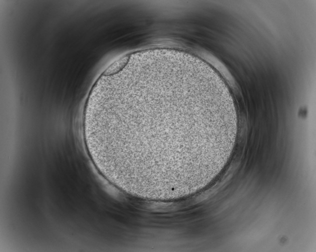 X0000103431439200810241048
