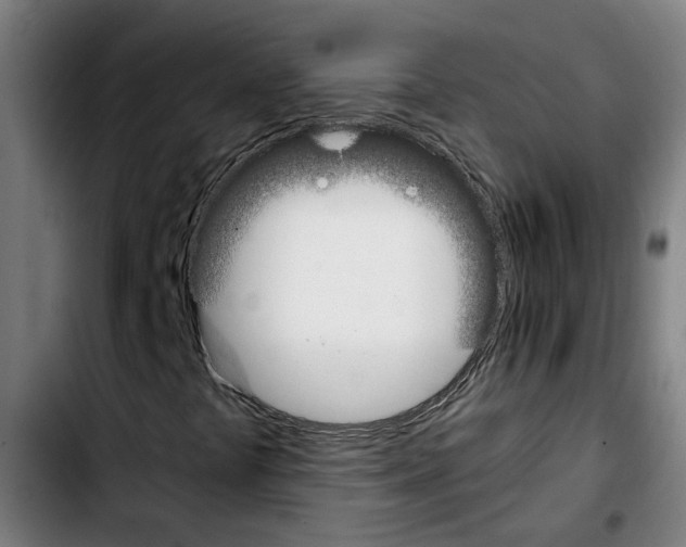 X0000103431441200810241047
