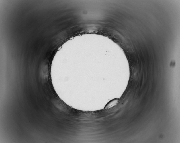 X0000103431442200810241047