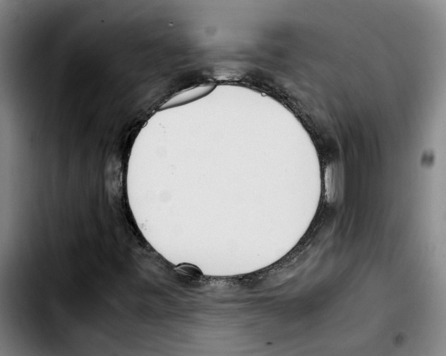 X0000103431443200810241047