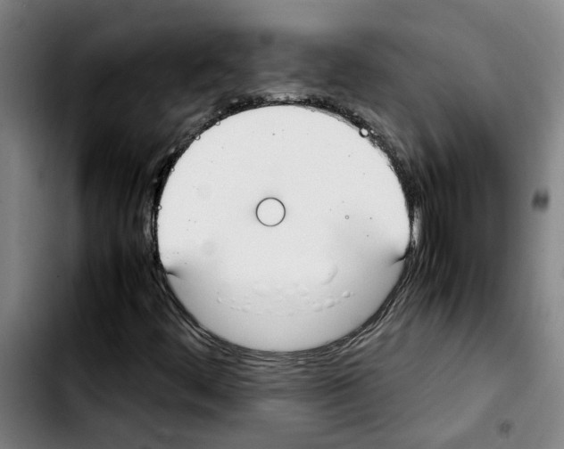 X0000103431444200810241047