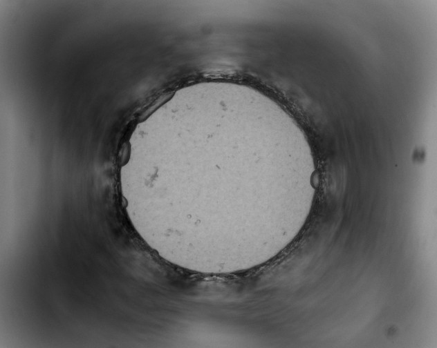 X0000103431445200810241047