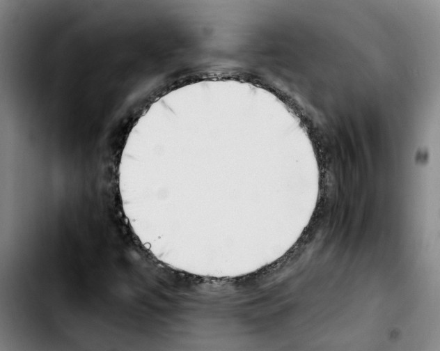 X0000103431447200810241047