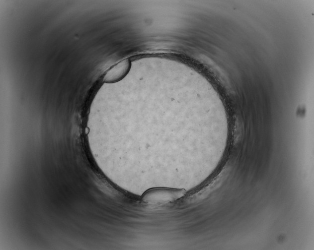 X0000103431449200810241047