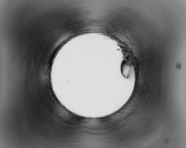 X0000103431450200810241047