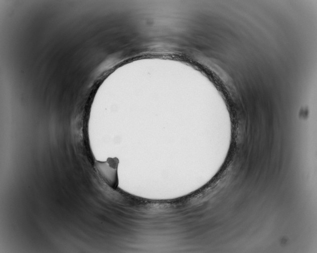 X0000103431451200810241047