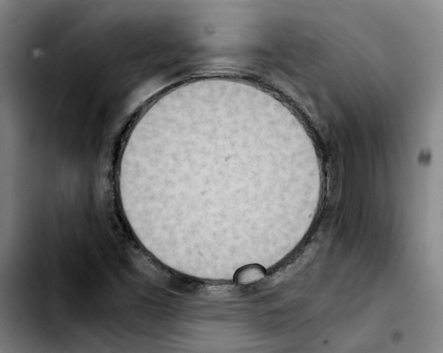 X0000103431453200810241047