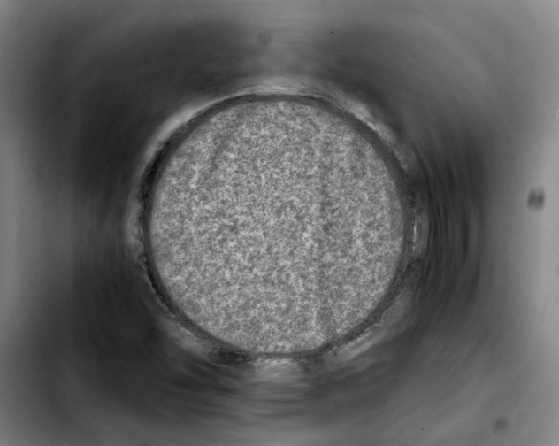 X0000103431454200810241047