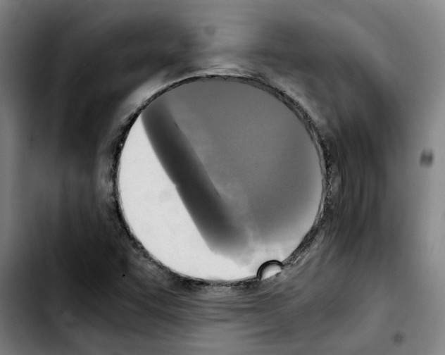 X0000103431455200810241047