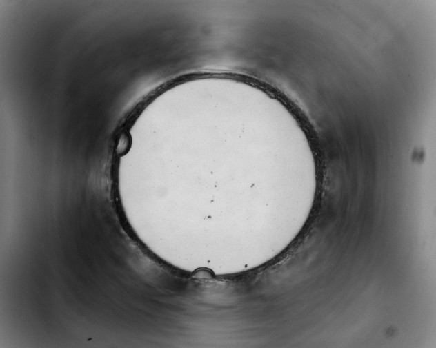 X0000103431456200810241047