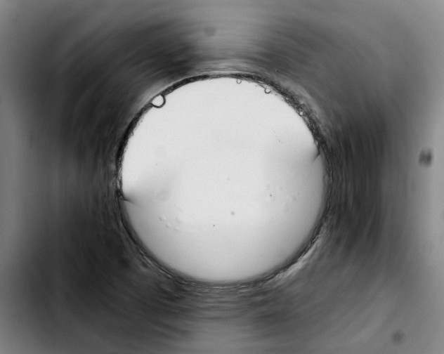 X0000103431457200810241047