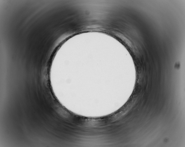 X0000103431458200810241047