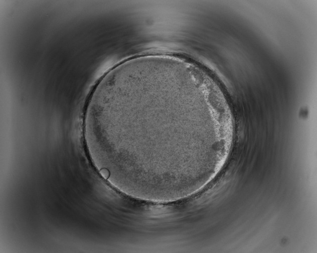 X0000103431459200810241047