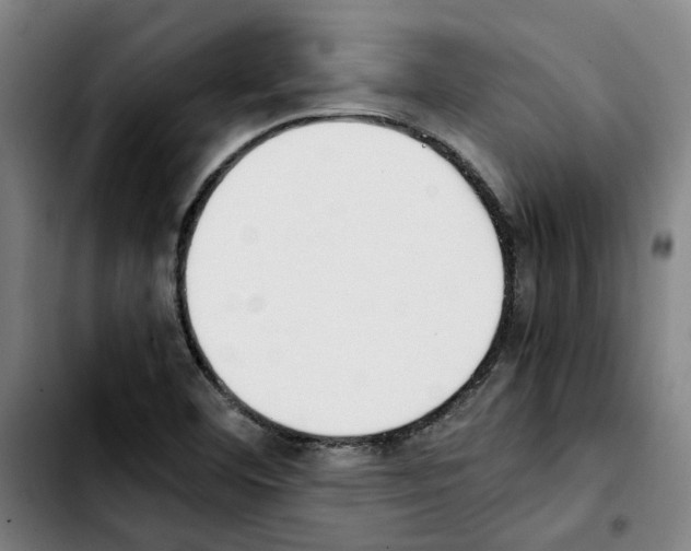 X0000103431460200810241047